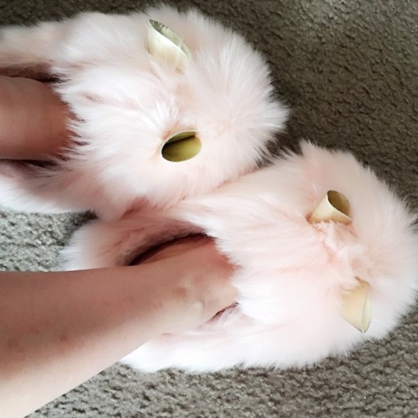 笔记图片