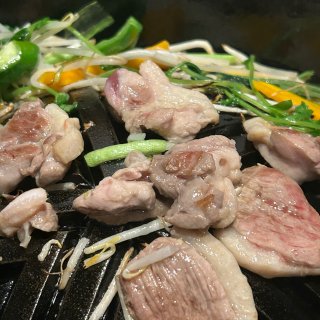 日本鸭料理 不同风格的鸭子...