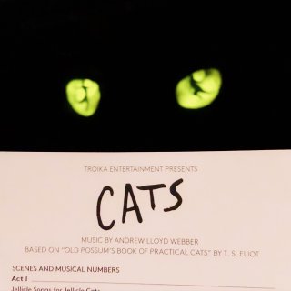 🐱猫🐱：终于打卡了最爱的音乐剧...