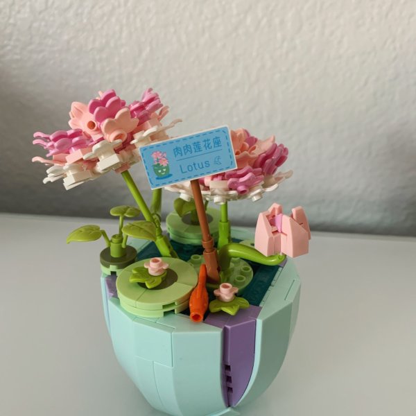 笔记图片