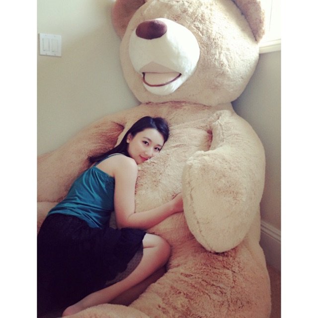 Teddy Bear 泰迪熊