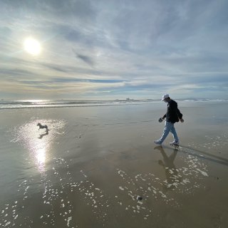 去dog beach 踏浪