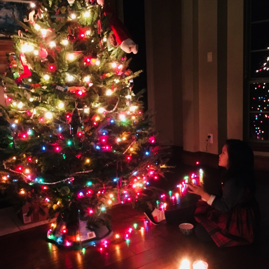 🎄圣诞树🎄