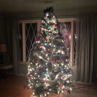 第一次装饰圣诞树...