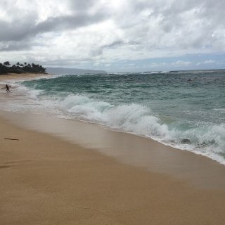 夏威夷过个年，打卡新景点...