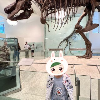 夏日限定之纽约自然历史博物馆🦕化石展...