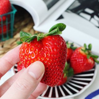 又是一年草莓🍓季...
