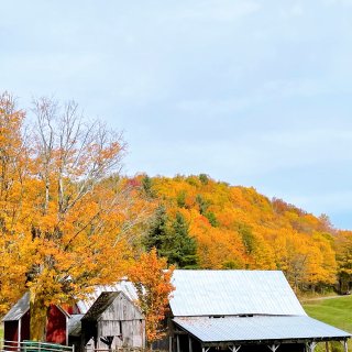🍁走进电影画面般的Vermont红叶季...