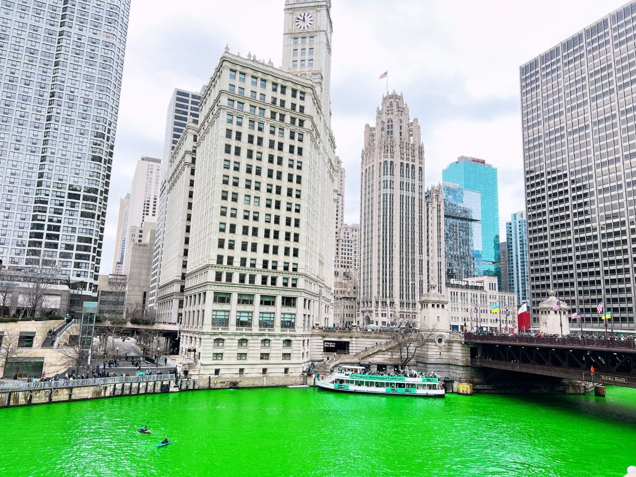 一年绿一次的芝加哥河...