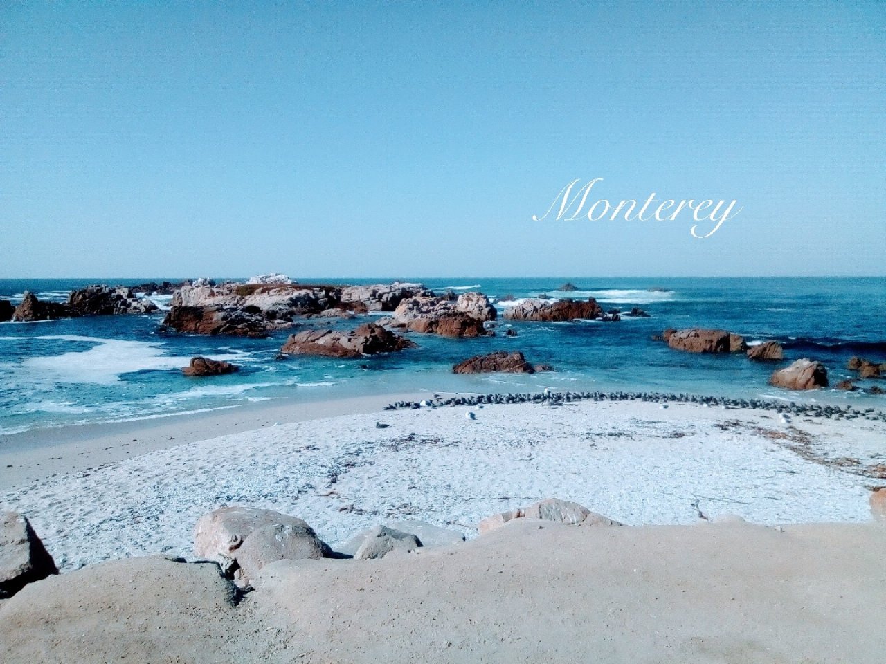 夏季避暑圣地——加州Monterey(含...