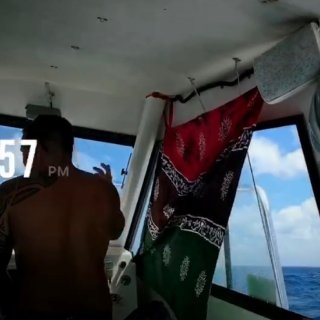 夏威夷Honolulu  观鲨 潜水🤿...