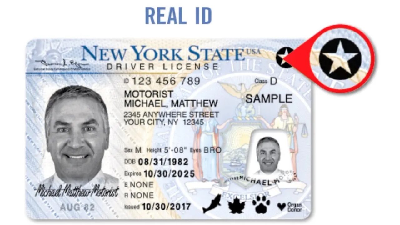 如何在家获取纽约路考许可证（permit）（无ID或者有ID的看过来，超级详细）