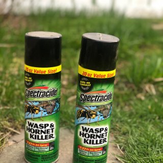 Spectracide Aerosol Wasp and Hornet Killer Spray (2-Count)-HG-65865-1 - The Home Depot