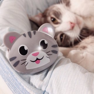 Amazon退貨福利✨可愛貓貓零食袋夾...