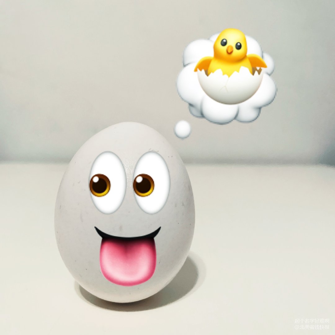 一颗鸡蛋的使命,让鸡蛋飞