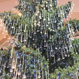 今生第一次遇见满树都是水晶的圣诞树🎄...