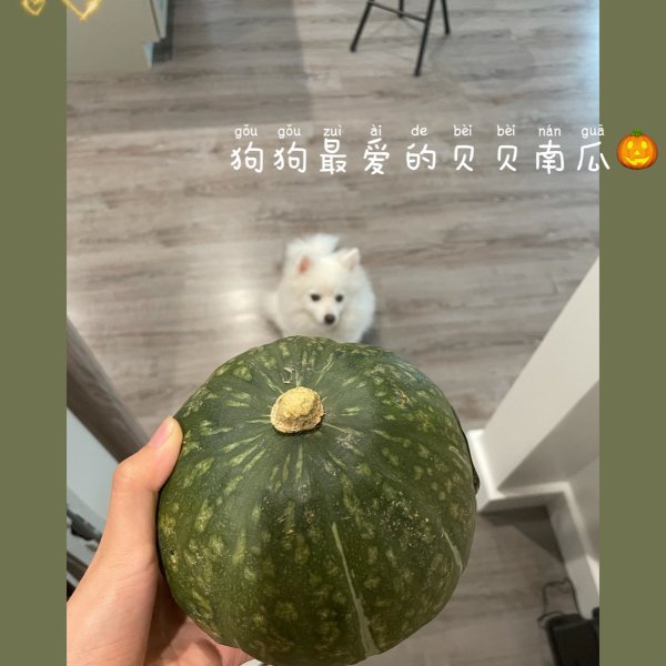 晒货图片