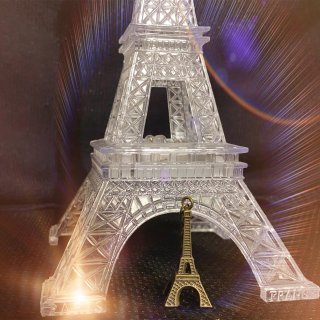带你去那巴黎铁塔🗼...