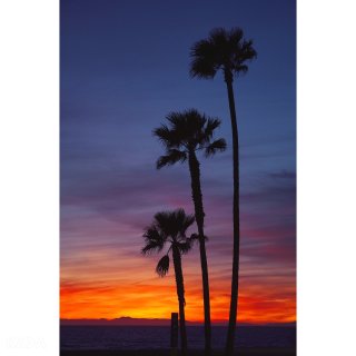 2019剁手课代表,Sunset,Sony 索尼