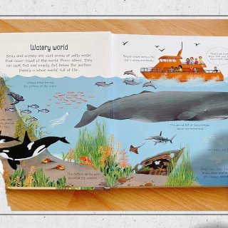 母婴担当-童书介绍-关于海底的书...
