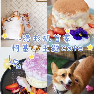 LA首家柯基🐶主题Cafe 真的有狗！！...