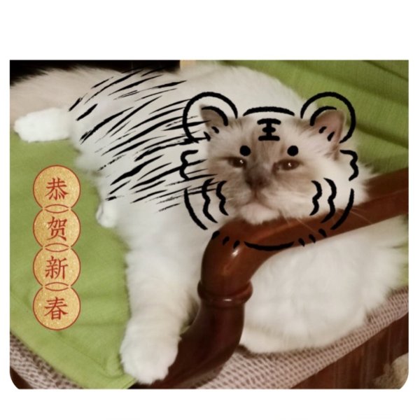 晒货图片