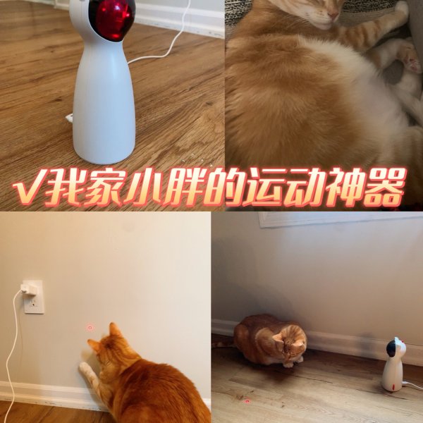 晒货图片