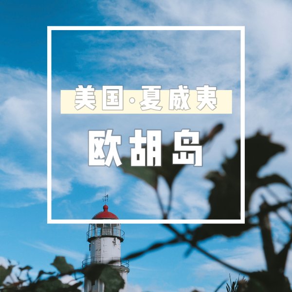 晒货图片