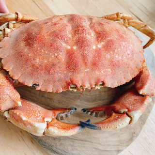 吃货的日常🌻🌻周末的快乐必须是大口炫肉...