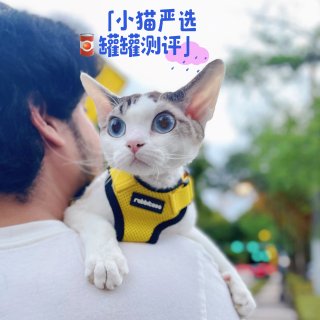 小猫严选｜Applaws鱼肉罐肉篇 🥫...