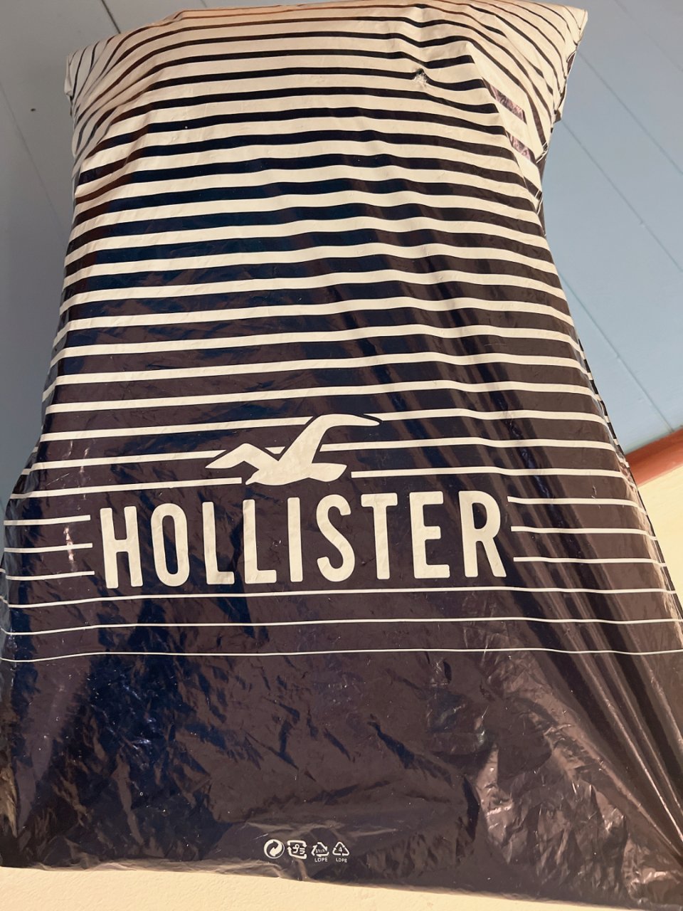 Hollister 霍利斯特