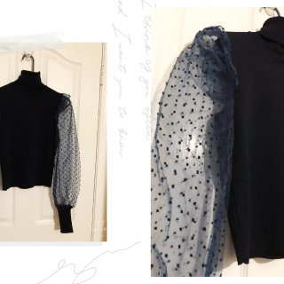 Dotted Mesh Organza Sweater