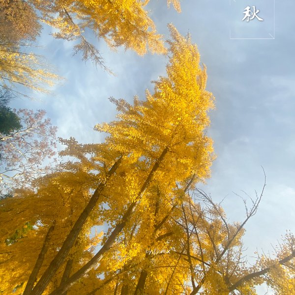 晒货图片