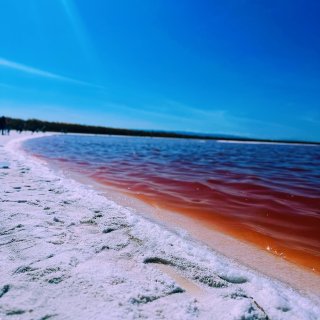 美丽的Alviso Marina盐湖...