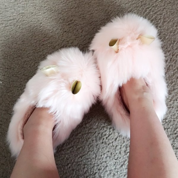 笔记图片