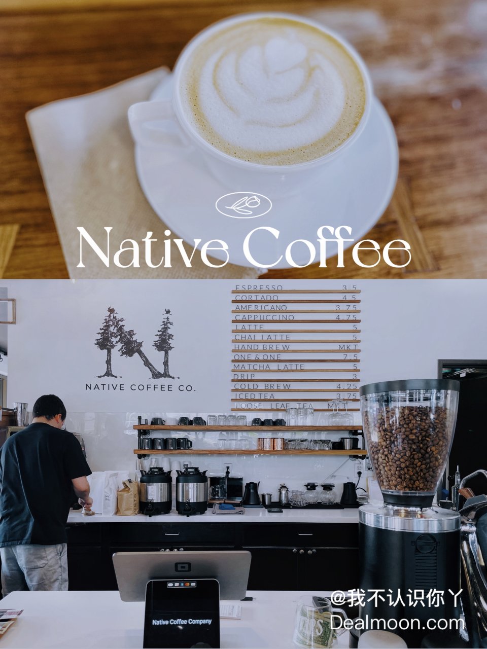 达拉斯NATIVE咖啡店☕️适合学习和约...