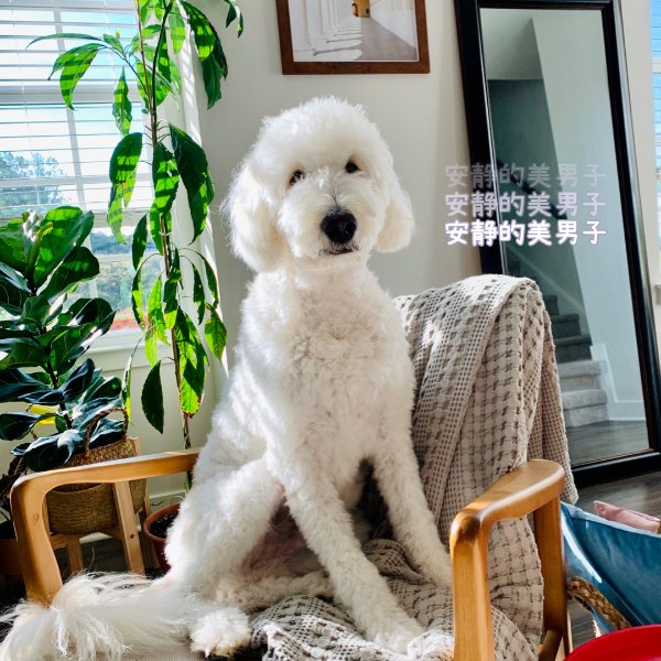 晒货图片