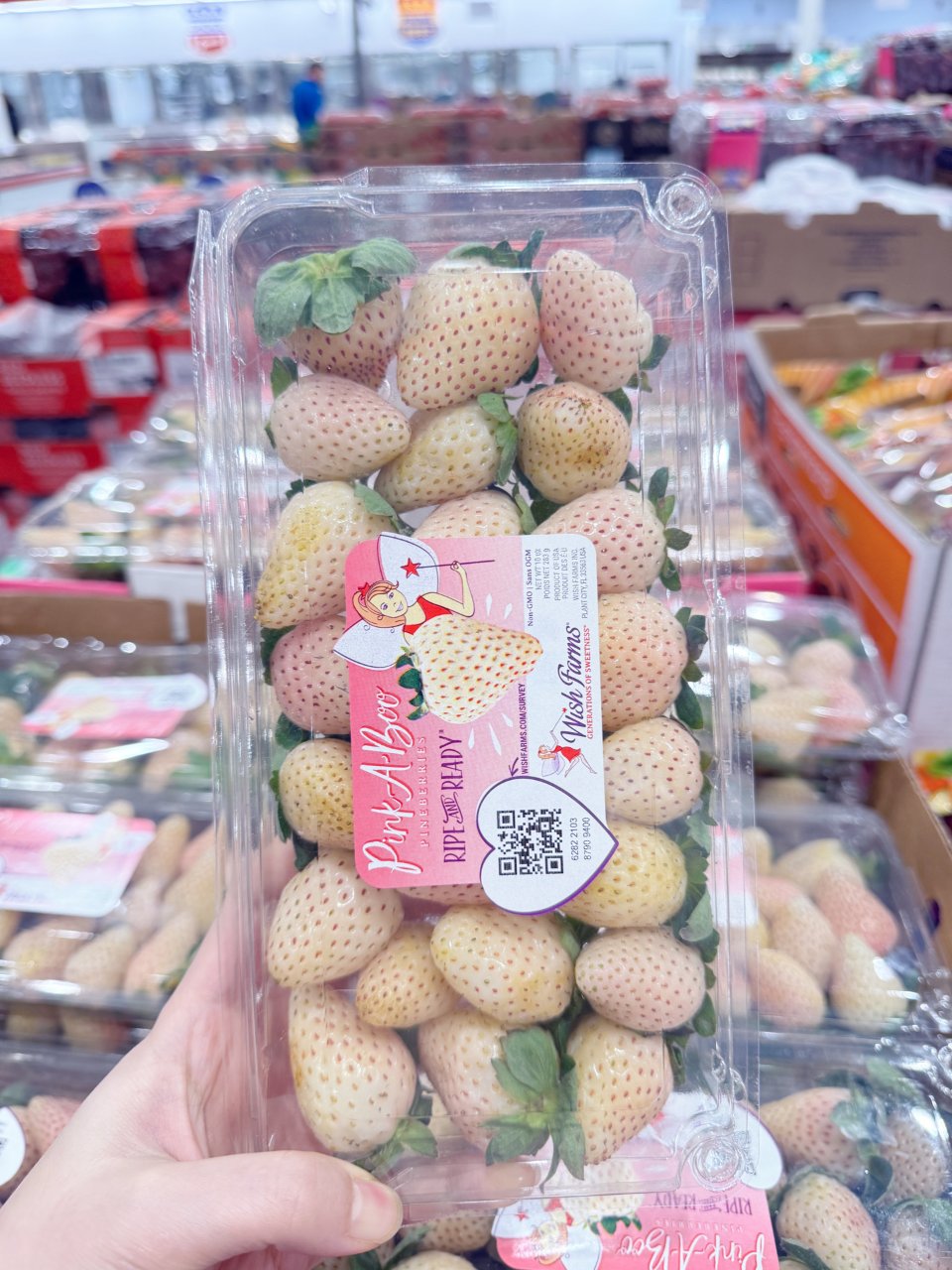 健康饮食｜季节限定的白草莓🍓回来了！...