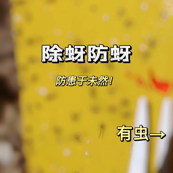 晒货图片