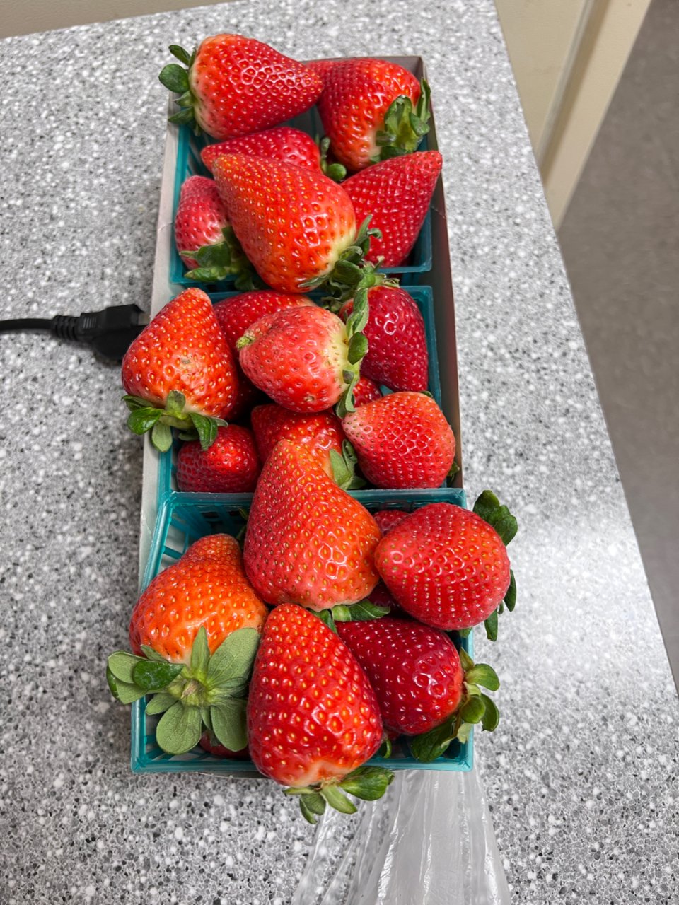 开年大草莓