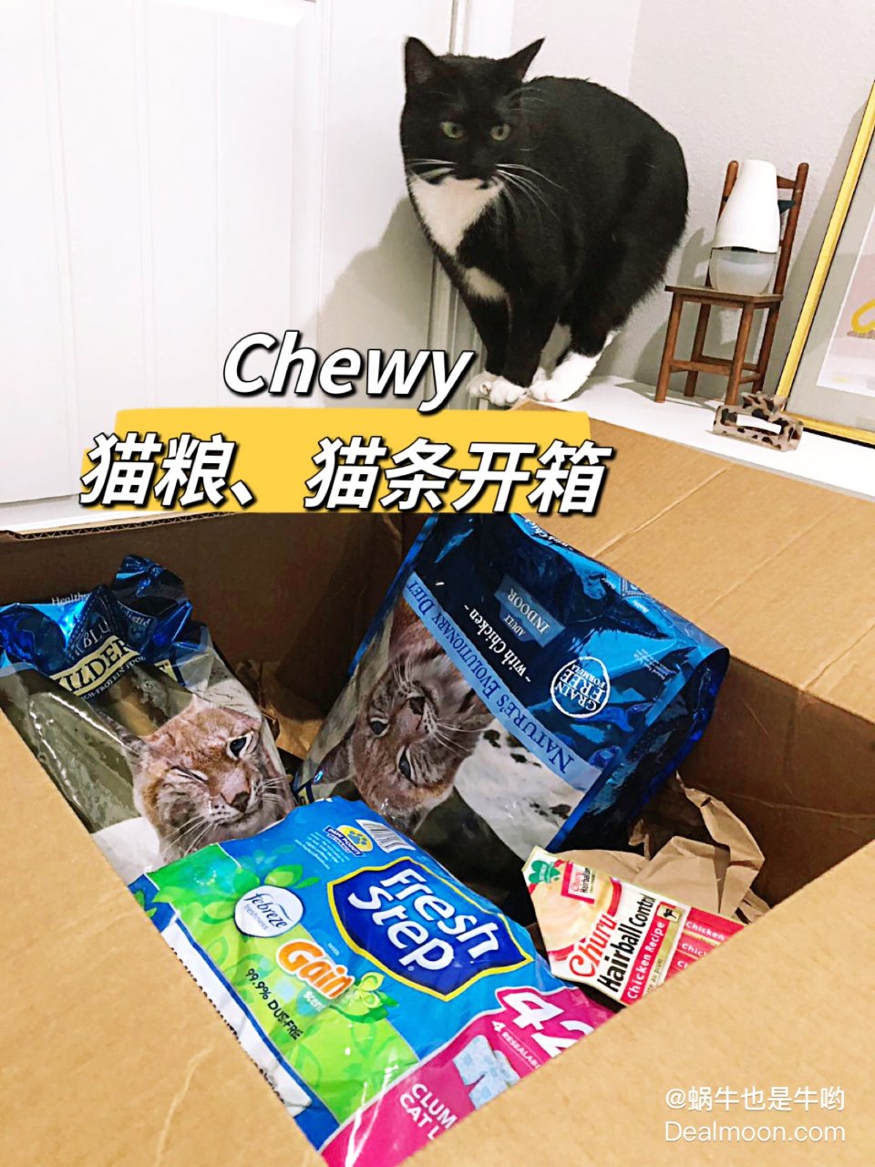 2024买得第一单|Chewy猫粮🐱猫条...