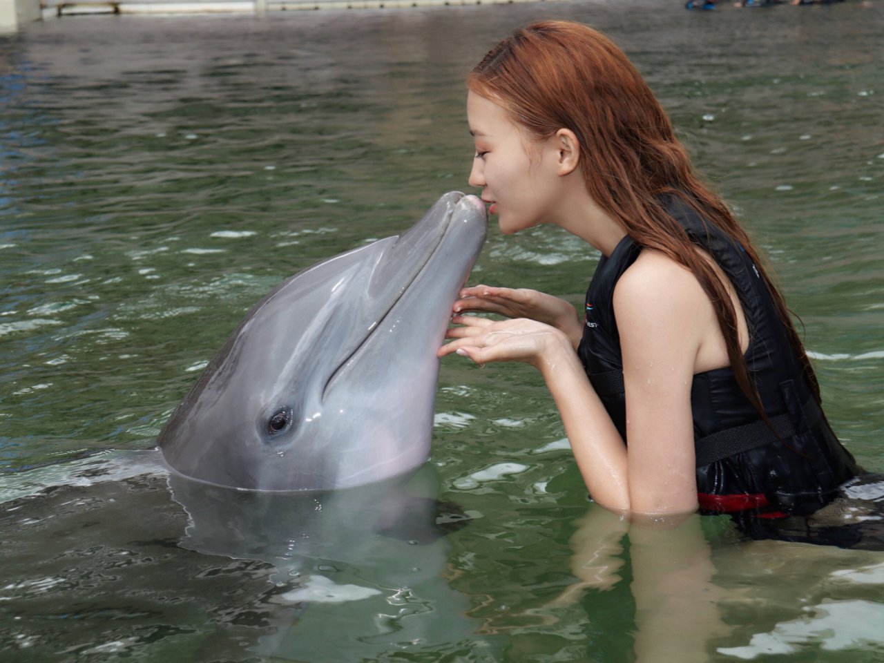海豚会主动亲吻