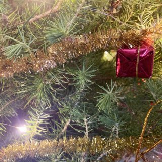 小型圣诞树🎄也可以好温馨...