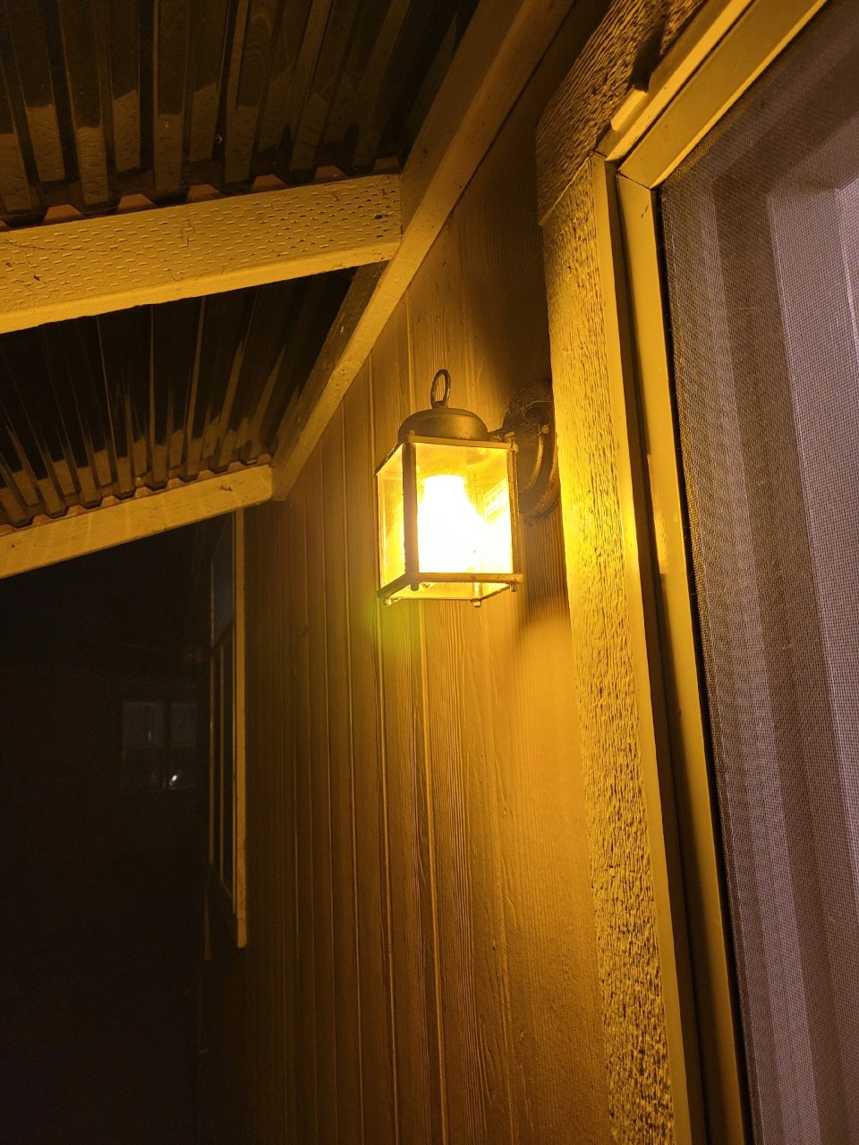 LED 防虫子灯泡