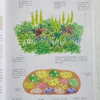读书笔记 | 宿根花园设计与植物搭配...