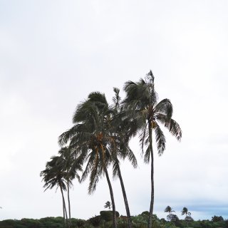 夏威夷可爱岛风景+新镜头试拍...