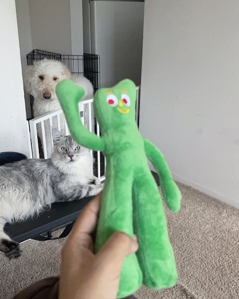 买家秀