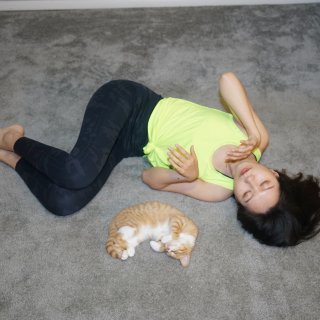 SPANX瑜伽裤的滋味 猫和你都想了解...