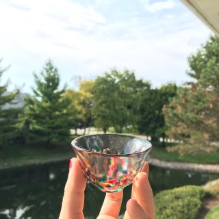 美貌的玻璃杯