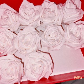 纸巾diy玫瑰花